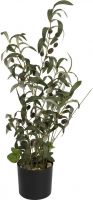 Kunstige planter, Europalms Olive tree, artificial plant, 68 cm