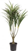 Kunstige planter, Europalms Dracena, green-red, artificial, 90cm