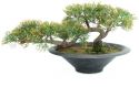 Artificial plants, Europalms Pencil Cedar, artificial plant, 40cm