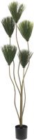 Kunstige planter, Europalms Papyrus, artificial plant, 130cm