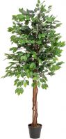 Decor & Decorations, Europalms Ficus Tree Multi Trunk, artificial plant, 150cm
