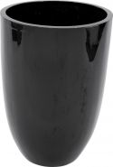 Potter & Krukker, Europalms LEICHTSIN CUP-69, shiny-black