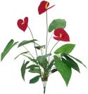 Kunstige planter, Europalms Anthurium, artificial, 70cm