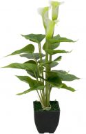 Kunstige planter, Europalms Mini Calla, artificial plant, white, 43cm