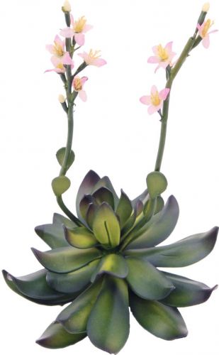 Europalms Houseleeks (EVA), artificial plant, pink, 32cm