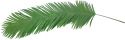 Kunstige planter, Europalms Coconut King Palm Branch, artificial, 180cm