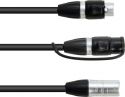 Assortment, Eurolite Adapter Cable DMX IP XLR 3-pin(m)/2xIP XLR 3-pin(f)