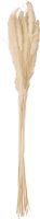 Sortiment, JOLIPA Pampas Grass Straw Bunch, dried, natur, 75cm