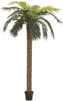 Artificial plants, Europalms Phoenix Palm Deluxe, artificial plant, 250cm