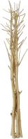 Kunstige planter, Europalms Fennel bunch, dried, gold, 160cm