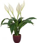 Kunstige planter, Europalms Lily Peace, artificial plant, 49cm