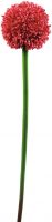 Udsmykning & Dekorationer, Europalms Allium spray, artificial, red, 55cm