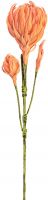 Udsmykning & Dekorationer, Europalms Dahlias Branch (EVA), artificial, orange