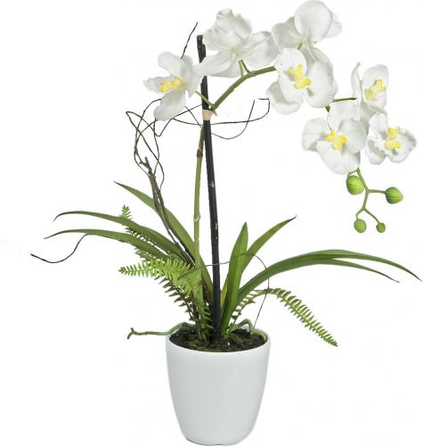 Europalms Orchid Arrangement 1, artificial