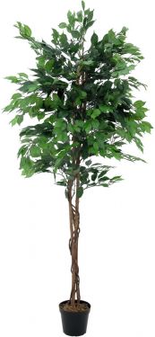 Europalms Ficus Tree Multi Trunk, artificial plant, 210cm