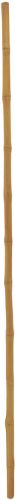 Europalms Bamboo tube, Ø=3cm, 200cm