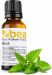 FSMA-M Smoke Fluid Scent Additive Mint